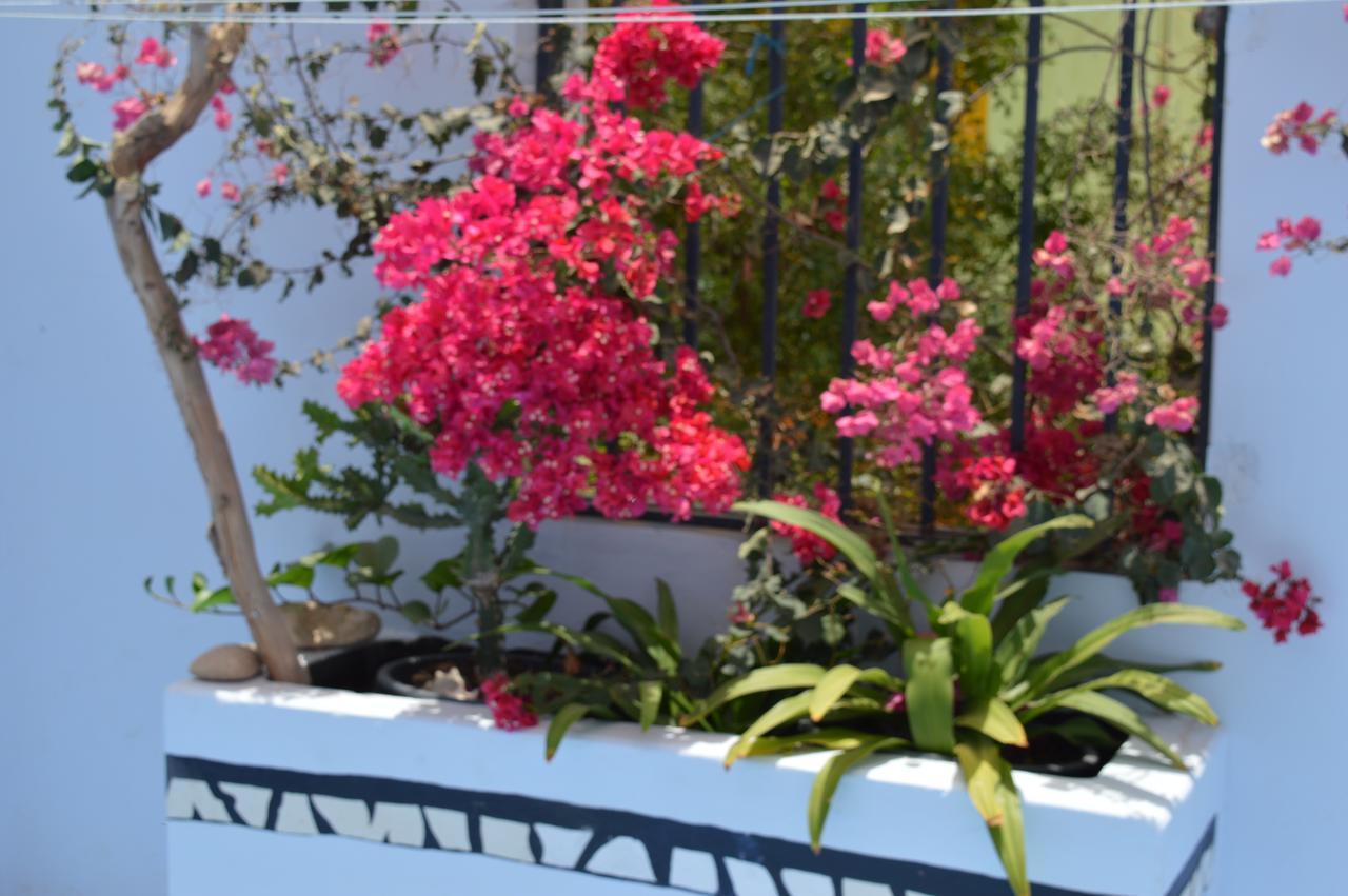 Yacht Club Sal Bed & Breakfast Palmeira ภายนอก รูปภาพ
